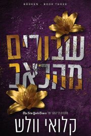 סדרת שבורים 3 - שבורים מהכאב
